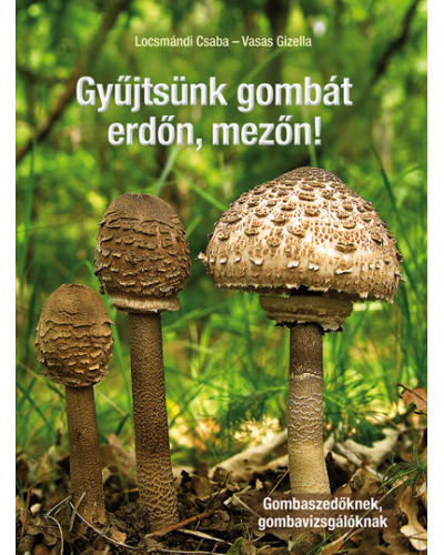 Gyűjtsünk gombát erdőn, mezőn!